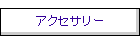 �A�N�Z�T���[