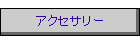 �A�N�Z�T���[